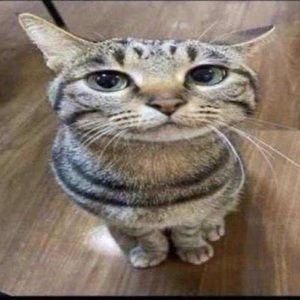 Meet your Posher, Gabriela